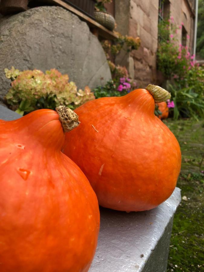 Ferienwohnung Kroppenmuehle Schoenburg Zewnętrze zdjęcie
